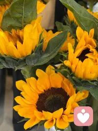 ❤️
心要像伞一样，撑得起
       收得住，望可望之事，待可待之人。