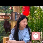 沛霖心声的头像