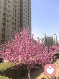 喝温水：亲爱的宇宙，我感恩这杯财富之水，让我本月轻松进财50万，我的身体就是吸金磁铁，钱宝宝正在源源不断的涌向我。[合十][合十][合十][合十][合十]配图