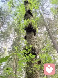 人到一定年纪才懂，生活不用强求圆满。难过就安静歇一歇，累了就放慢脚步，不必硬撑体面。
放过纠结的过往，看淡没必要的纷争。好好吃饭、好好睡觉，把情绪稳住，把日子过踏实。不求大富大贵，只求内心安稳，保留好奇和喜悦的能力，余生简单自在就好。配图