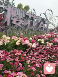 允许一切发生，允许自己不完美。生活是旷野，不是轨道，怎么走都可以。配图