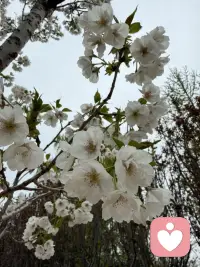 允许一切发生，允许自己不完美。生活是旷野，不是轨道，怎么走都可以。配图