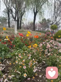 允许一切发生，允许自己不完美。生活是旷野，不是轨道，怎么走都可以。配图