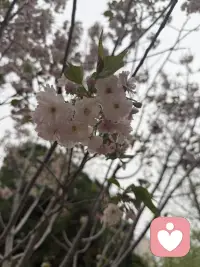 允许一切发生，允许自己不完美。生活是旷野，不是轨道，怎么走都可以。配图
