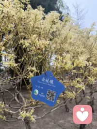 允许一切发生，允许自己不完美。生活是旷野，不是轨道，怎么走都可以。配图