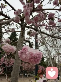 允许一切发生，允许自己不完美。生活是旷野，不是轨道，怎么走都可以。配图