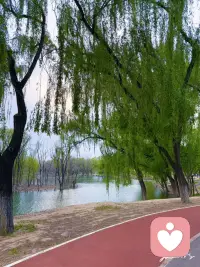 生活难免充斥内耗与疲惫
不必独自硬扛所有委屈
有人倾听，本身就是一种救赎
在给力心理，永远有人认真接住你的情绪
#心理咨询 #治愈自己配图