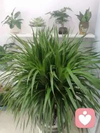 人生海海，山山而川，不过尔尔！配图