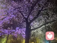 当你的垃圾桶配图
