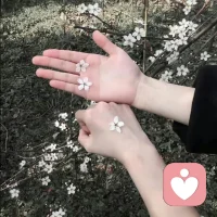 祝你永远方寸不乱，自在从容。。。配图
