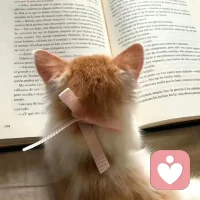 家里没有边界，我就自己创造边界，没人保护我，我就自己保护自己。。。。如果你也有类似的困惑，欢迎来找聊聊哦。。。配图