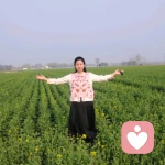 悦己倾听的头像