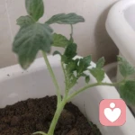 悦己倾听的头像