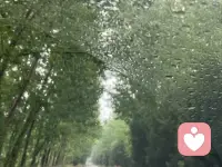 能让自己持续向上的原动力：
比你优秀太多的人，始终比你努力。 
天赋 阅历 情商 包括声音…都没有天花板。
只能不断的挤压自己的每一寸余地，
努力挤进垫脚才能触及到的优秀梯队里。配图