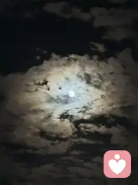 最近会有亿点点……忙
之前也堆了太多文案要写和视频要剪
聊天一时很快乐~但不能一直都快乐
   
所以，最近聊天就比较随缘啦🪷配图