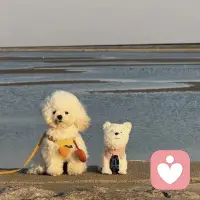 喜欢跟来访聊天时收集一些金句。
“每个人都是在地上走着的”
人生而平等，平等的踩在这片土地上
勇敢的表达自我的感受很重要。配图