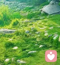 治愈心情文案，emo的时候直接看

1. 允许一切发生，也允许自己慢下来。

2. 生活是自己的，别被情绪绑架。

3. 难过归难过，日子照样过。

4. 心事藏心里，日子往前移。

5. 放过自己，不和烂人烂事纠缠。

6. 不必事事圆满，只求心安就好。

7. 情绪到头就收，日子向阳而行。

8. 风吹人会醒，万事皆可期。

9. 稳住情绪，就是稳住运气。

10. 普通的日子，也要好好善待自己。

11. 别想太多，好好生活，剩下的交给时间。

12. 低谷总会过去，好运正在路上。配图