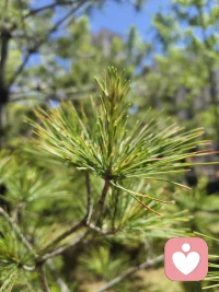 ​你的付出，从来都不是理所当然
累了就停一停，不用硬撑
​好好爱自己，才是终身浪漫的开始配图