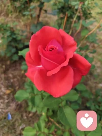 无论何时都不要放弃，我愿意和你一起配图