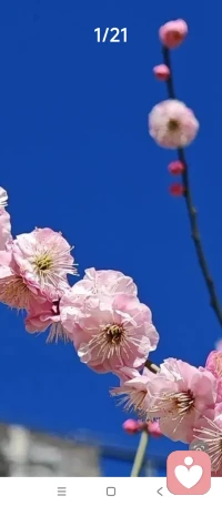 我在听，你慢慢说，不用着急。配图