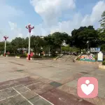 暖暖月光的头像