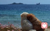 我们会焦虑，但是我们也会被自己治愈，能够治愈我们的从来都不是时间，而是我们心里的那份释怀和格局！日落归山海，山海藏深意！只要你内心不慌乱，世界都很难影响你，无论我们身处何方，身馅何地，只要我们向下扎根，向上开花就能不负生活，不负自己！配图