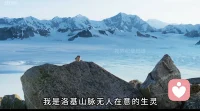 整日的奔波劳碌到底是为了什么？
不过是在这残酷的天地间，苟一口喘息 ，撑一段余生……鼠生如此，人生又何尝不是！生命就是一场众生潦草的苦役，风依旧吹过乱石，雪终将覆盖群山：生存本身就是一场孤独的硬仗，不能因眼前艰难放弃希望和信仰！
一粥一饭，当思来处不易，半丝半缕。恒念物力维艰，这才是惜福之道。
正所谓以道观之，物无贵贱；以物观之，自贵而相贱；以俗观之，贵贱不在己…配图