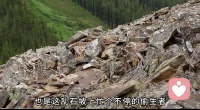 整日的奔波劳碌到底是为了什么？
不过是在这残酷的天地间，苟一口喘息 ，撑一段余生……鼠生如此，人生又何尝不是！生命就是一场众生潦草的苦役，风依旧吹过乱石，雪终将覆盖群山：生存本身就是一场孤独的硬仗，不能因眼前艰难放弃希望和信仰！
一粥一饭，当思来处不易，半丝半缕。恒念物力维艰，这才是惜福之道。
正所谓以道观之，物无贵贱；以物观之，自贵而相贱；以俗观之，贵贱不在己…配图