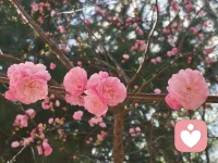 向内接纳自我，允许所有情绪自然起落，好好善待当下独一无二的自己。配图