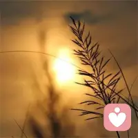 生活不是这样就是那样，总之不是你想的那
样
所有的相遇都是偶然，所有的离去都是必然
人生不在于幸不幸福，而在于知不知足！
想越活越洒脱，一定要有翻篇的能力！配图