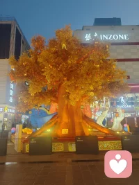 大家好，我是一名耐心、温和、共情力强的倾听师。
擅长情绪疏导、情感陪伴、职场压力、人际困扰、家庭矛盾倾听。

我会用真诚与陪伴，陪你梳理情绪、释放压力，做你安心又靠谱的心灵树洞。配图