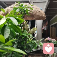 我不是来劝你坚强，也不是来教你懂事，
只是安安静静地听你说。
你的委屈、疲惫、说不出口的难过，
在这里都可以被看见、被接纳。
不用假装，不用逞强，
你只管做最真实的自己就好。配图