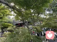 自己的伞，胜过任何人的屋檐！