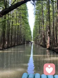 不必事事渴求理解，静静过好自己就好！