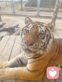 焦躁不安、心烦意乱、身心疲惫