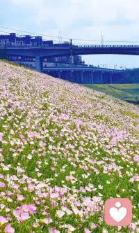 世间万般风景，都不及身边岁岁相伴。岁月温良，愿有人陪你颠沛流离。配图