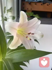 很多时候困住我们的从不是事情本身，而是我们对事情的解读，这便是认知行为疗法里核心的认知重构。同一段经历，换一种视角，心境就会全然不同。深陷低谷时别执着于眼前的阴霾，试着跳出固有思维，把挫折当成成长的体验。改变看待世界的眼光，你会发现，那些曾经让你辗转难眠的烦恼，终会变成滋养你的养分。