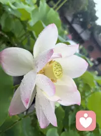 大众总误解心理咨询等于心理病态。事实上，大多数普通人只是卡在情绪、关系、自我认知里走不出来。和家人倾诉怕添麻烦，和朋友吐槽怕被议论，独自消化只会越憋越压抑。在这里没有说教指责，平等倾听剖析，一点点抚平心里积压的疲惫，找回松弛稳定的状态。