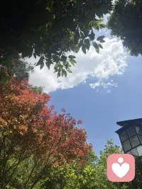 不替你做人生决定，只帮你看清困住自己的思维枷锁，重建稳定内在内核，拥有自主调节情绪的能力。