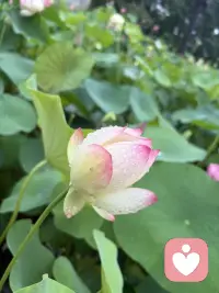 逞强久了会耗空底气，找一处无偏见的空间，卸下伪装不用硬撑。配图