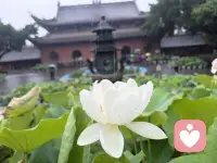 帮你梳理杂乱情绪，夺回内心掌控感。配图