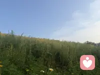 很多时候我们需要的不是解决方案，只是一个愿意认真听自己说话的人。配图