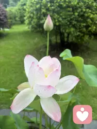 不用伪装坚强，在这里，难过、脆弱全都可以坦然流露。配图