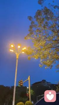 那些熬不过去的夜晚，终究会被清晨的阳光抚平，所有委屈都会慢慢释怀。配图