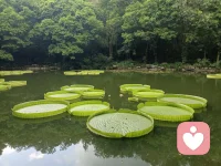 1. 生活本就泥沙俱下，鲜花与荆棘向来共生，遇事不慌得失随缘，稳住自己的心态，就赢过了大半风雨。
​
2. 停止无意义的自我否定，你不必完美无缺，平凡普通、有小缺点、偶尔笨拙，也依然值得世间所有偏爱与善待。
​
3. 慢慢来真的没关系，不用跟风追赶别人的节奏，你自有你的花期，安稳踏实走好自己的每一步就好。
​
4. 所有长久舒服的关系，全靠双向奔赴，单方面的迁就讨好与卑微付出，永远换不来真心对等的珍惜。配图