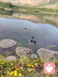 无论你认为生活怎么不如意，不论你在前进中遇到多大的挫折，你都应该鼓起勇气顽强地活下去。因为在这个世界上毕竟有你留恋的东西，还有关心你、爱护你的人。配图