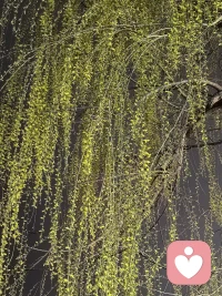夜晚的灯光好美，又没有人为我留盏灯呢？配图