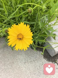 眼里有光，心中有爱，为你排忧解难