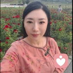 筝筝倾听☀的头像