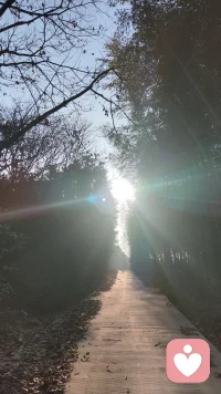 内耗的人，默念这几句话
我的感受，最重要
管不了的事，就随它去吧
过去的事，就此翻篇....